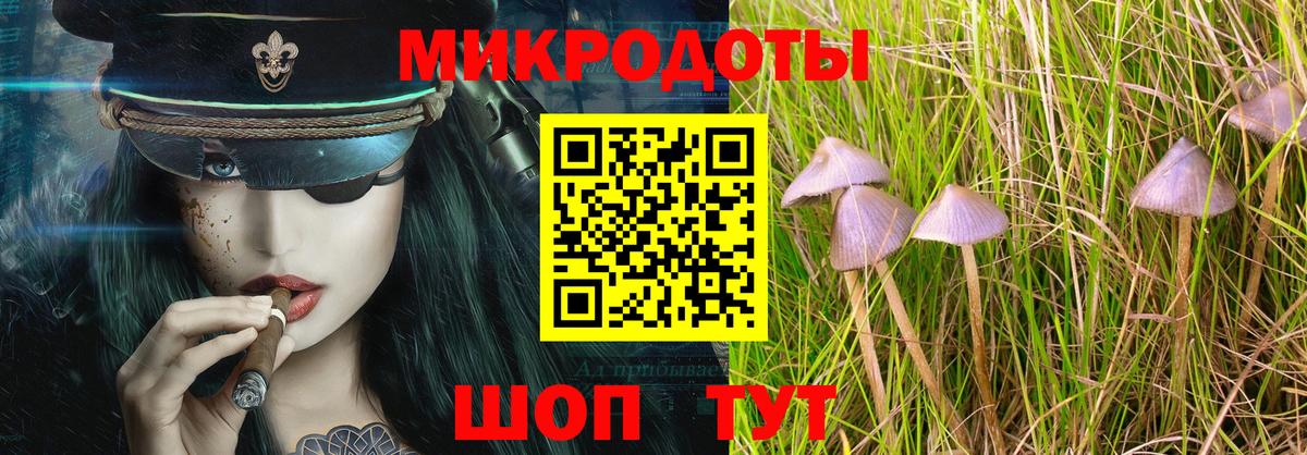 Галлюциногенные грибы прущие грибы  Вход с VPN  Галлюциногенные грибы GOLDEN TEACHER  Миллерово 