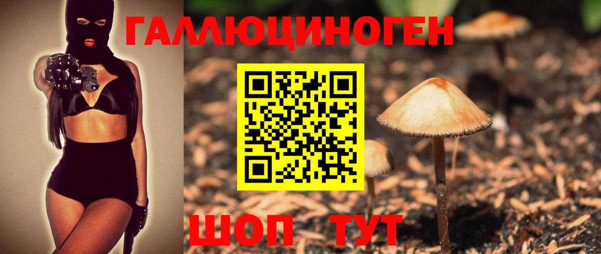 Псилоцибиновые грибы MAGIC MUSHROOMS Миллерово